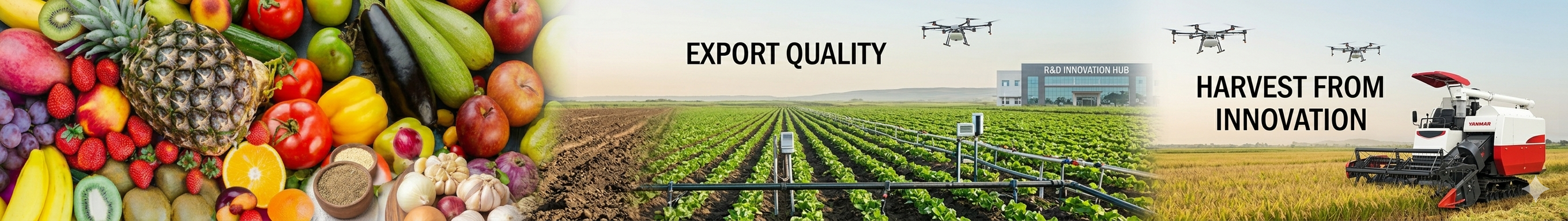 Our Products - Janmay Agro