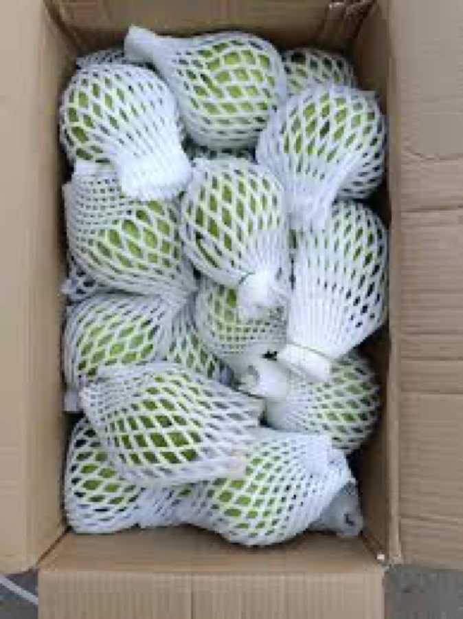 Guava