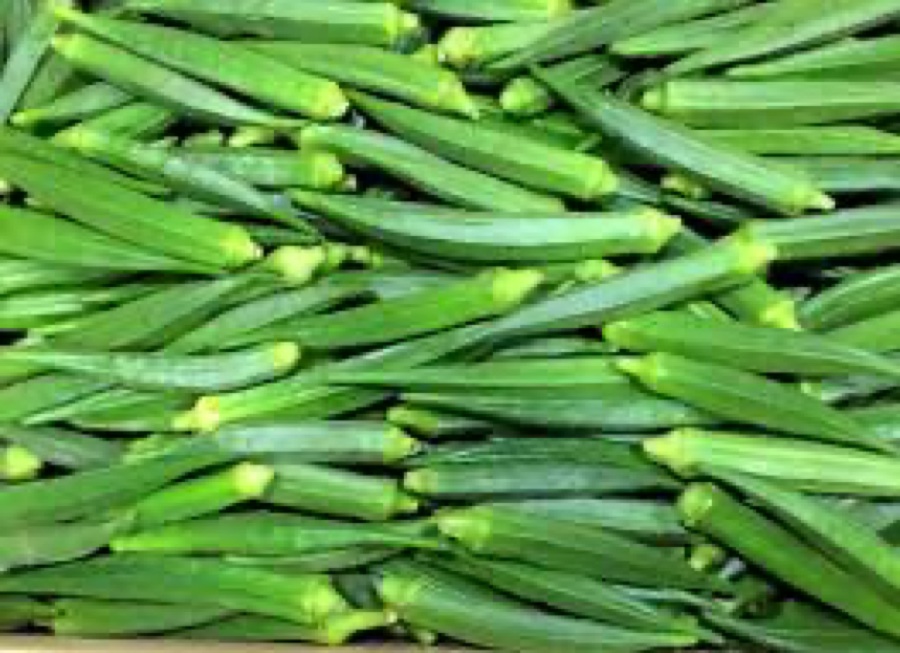Okra (Lady's Finger)