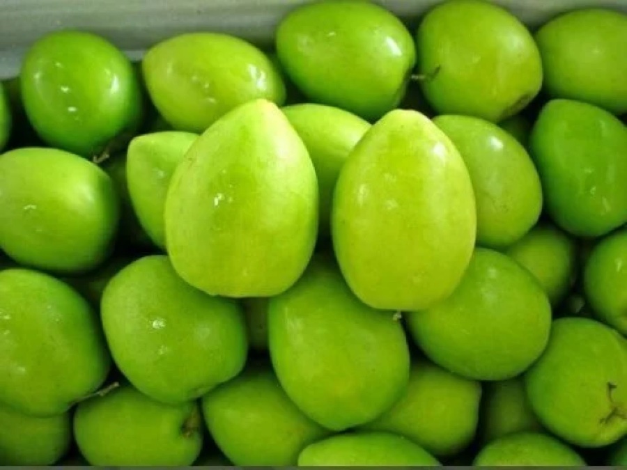 Apple Bore (Ber)