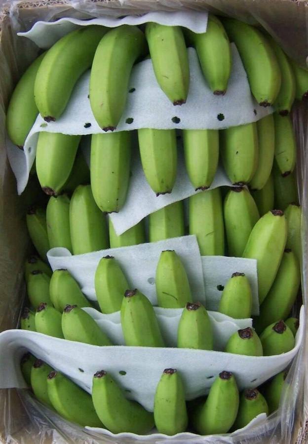 Banana