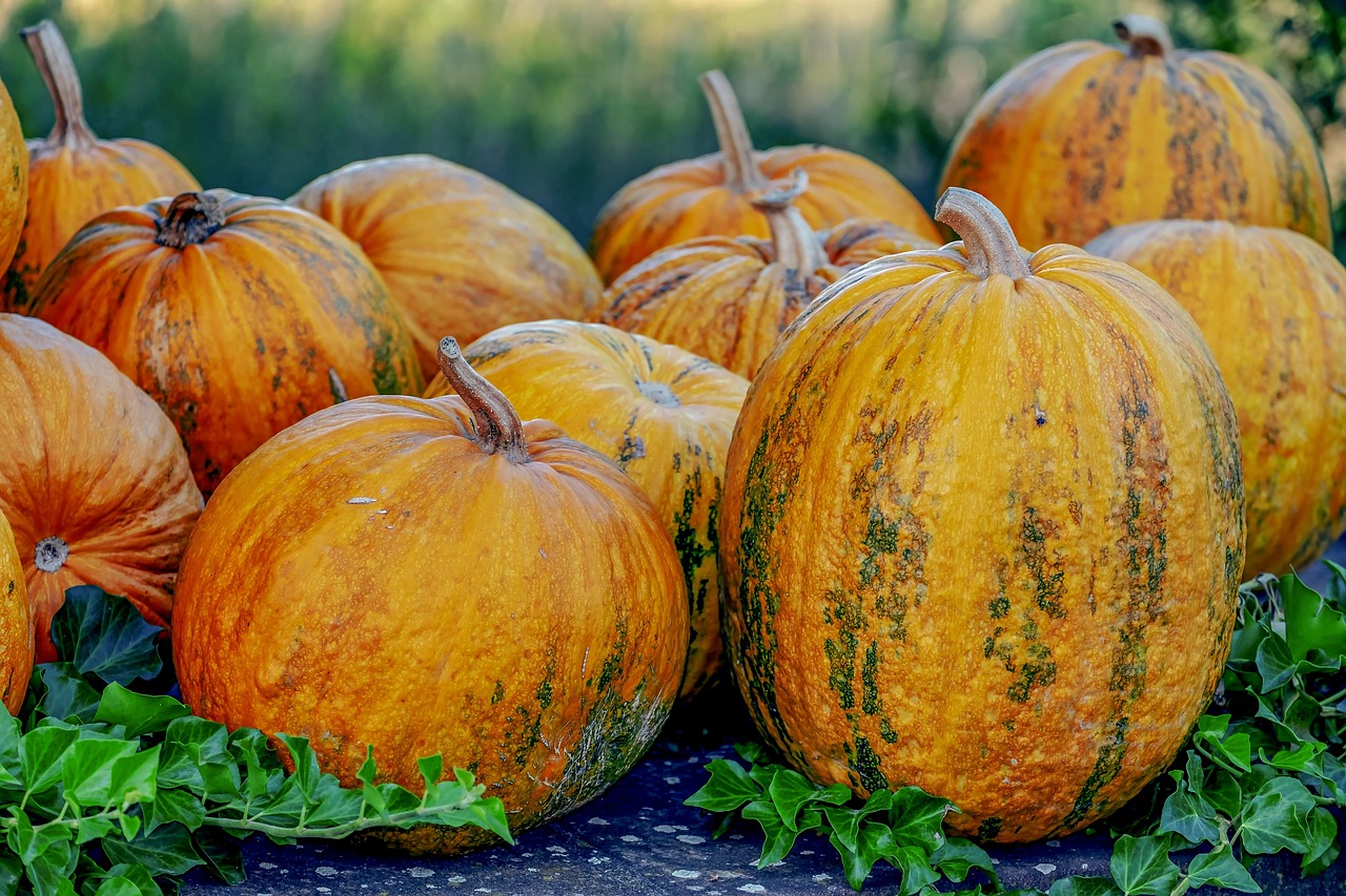 Small Pumpkin