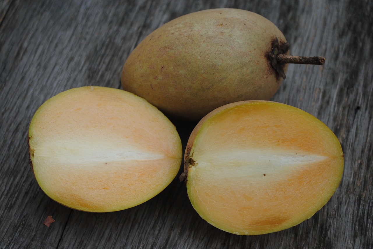 Chikku (Sapodilla)