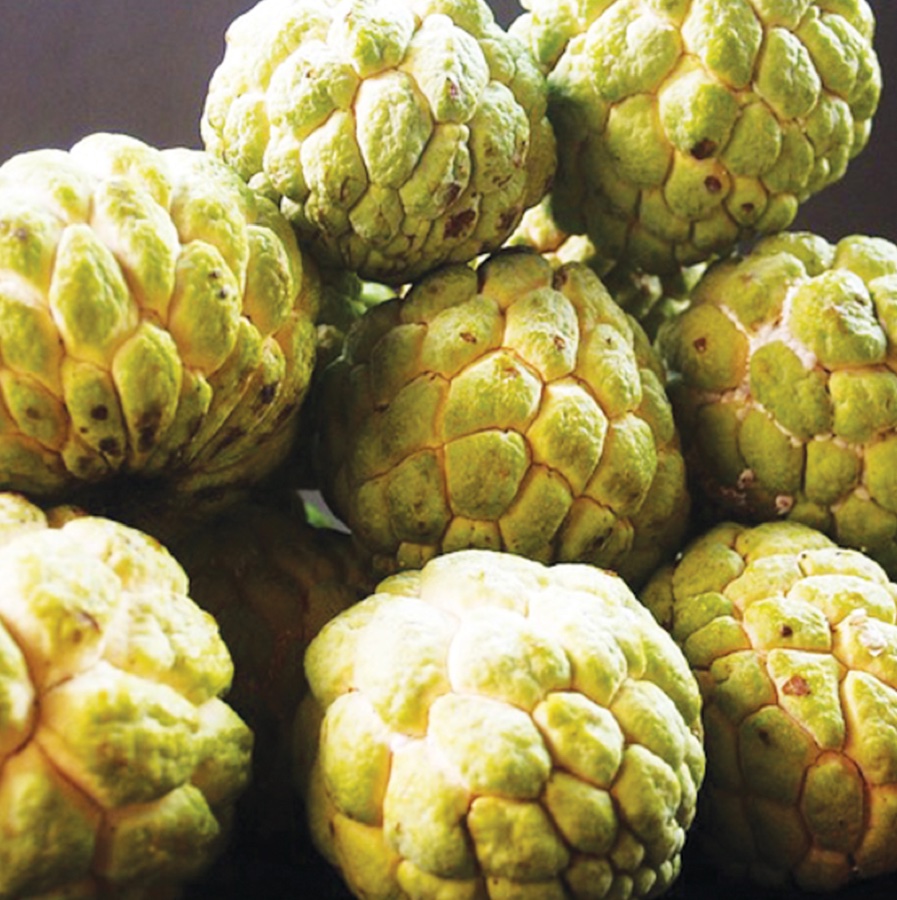 Custard Apple