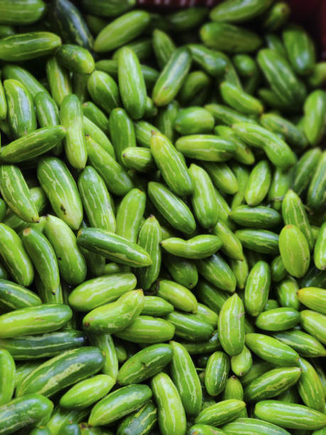 Ivy Gourd