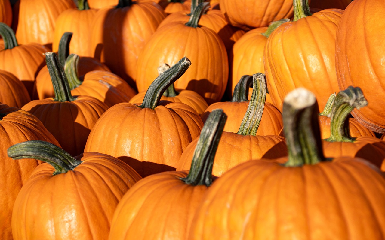 Disco Pumpkin