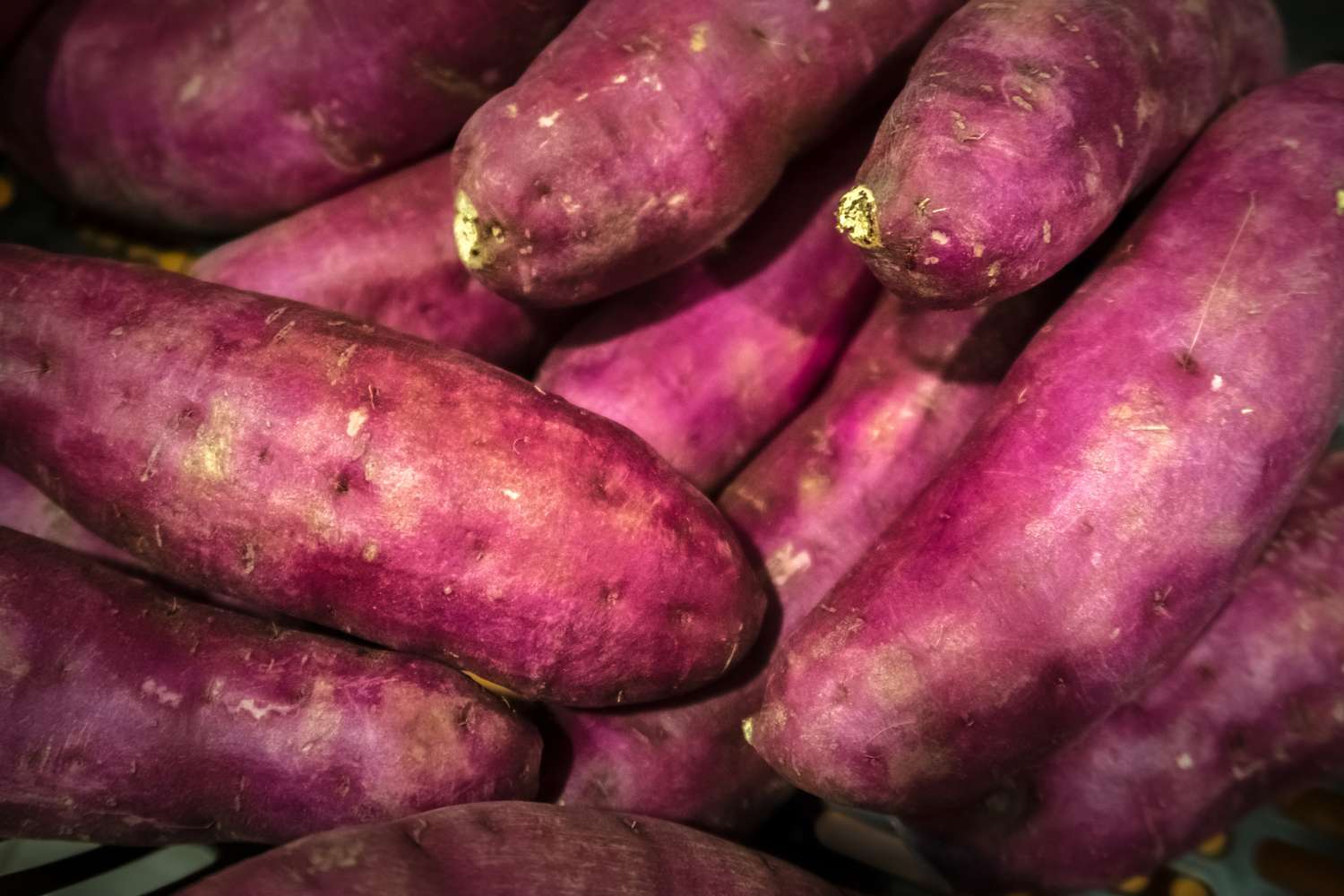 Sweet Potato